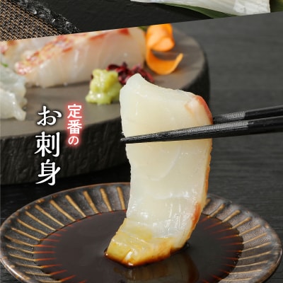 みやび鯛 刺身用 柵　900g_S124-003