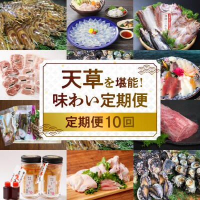 【定期便10回】天草を堪能!味わい定期_S999-T10