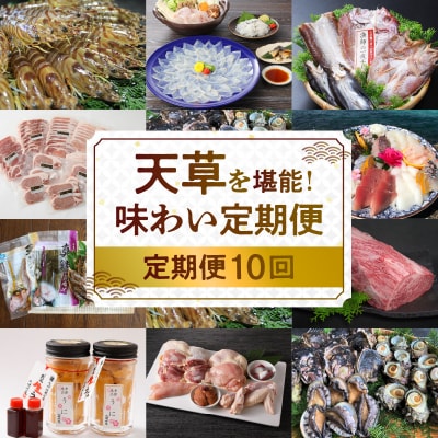 【定期便10回】天草を堪能!味わい定期_S999-T10