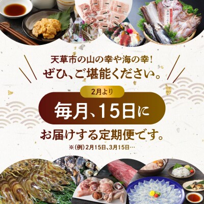 【定期便10回】天草を堪能!味わい定期_S999-T10