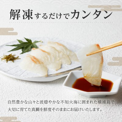 【真鯛の極】堪能セット_S106-017A