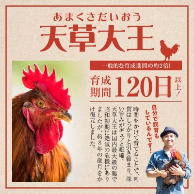 天草大王炭火親子丼の素と平飼いたまご(ヤキトリマンエッグ)_S081-014A