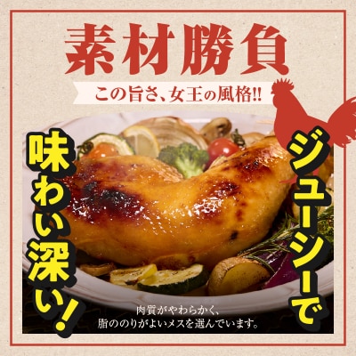 天草大王骨付きもも肉(メス)_S081-016A