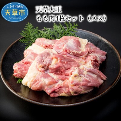 天草大王　もも肉4枚セット(メス)_S081-013