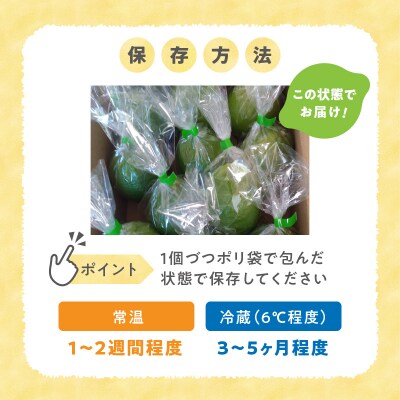 天草南蛮レモン　等級「秀」3kg_S131-003A