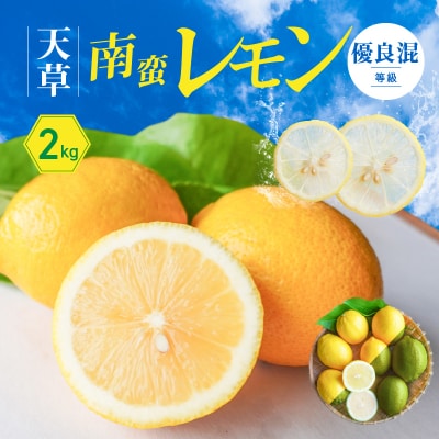 天草南蛮レモン　等級「優良混」2kg_S131-005A