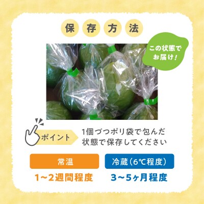 天草南蛮レモン　等級「優良混」3kg_S131-006A