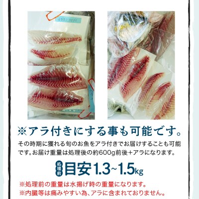 【指定日必須】刺身コース_S121-003A