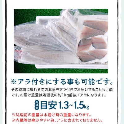 【指定日必須】焼き魚コース_S121-001A