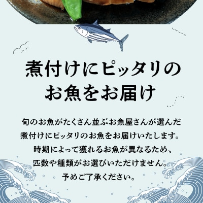 【指定日必須】煮付けコース_S121-002A