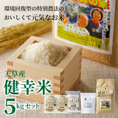 【令和7年産】健幸米5kgセット(コシヒカリ・玄米めんなど)_S067-018A