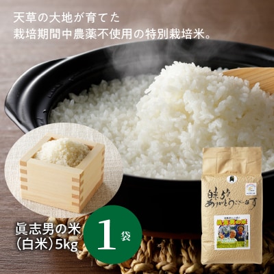 【令和7年産】健幸米5kgセット(コシヒカリ・玄米めんなど)_S067-018A