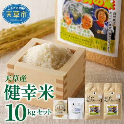 【令和7年産】健幸米10kgセット(コシヒカリ・玄米めんなど)_S067-019