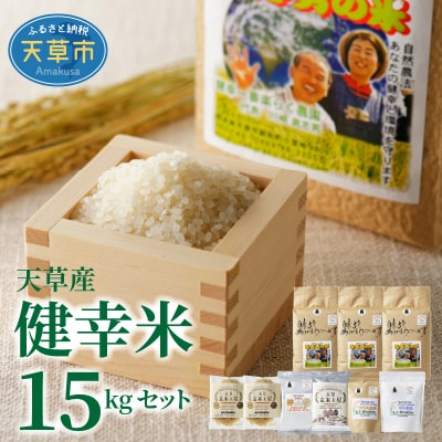 【令和7年産】健幸米15kgセット(コシヒカリ・玄米めんなど)_S067-020