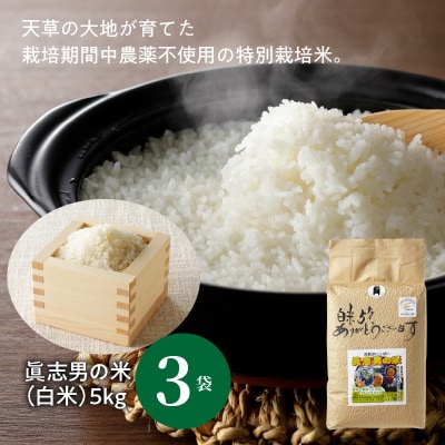 【令和7年産】健幸米15kgセット(コシヒカリ・玄米めんなど)_S067-020