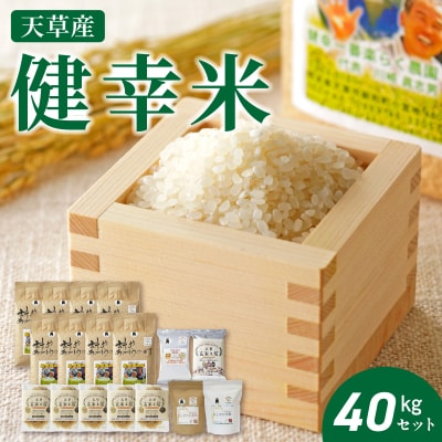 【令和8年産】健幸米40kgセット(コシヒカリ・玄米めんなど)_S067-021A