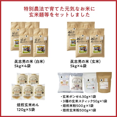 【令和8年産】健幸米40kgセット(コシヒカリ・玄米めんなど)_S067-021A