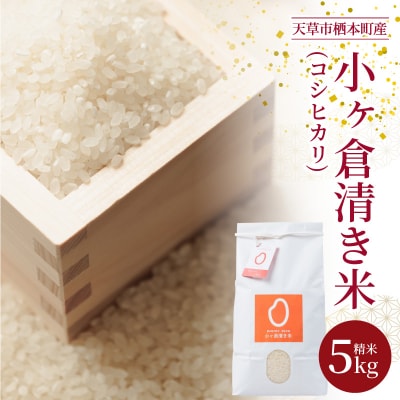 【令和7年産】天草市栖本町産　小ヶ倉清き米(コシヒカリ)　精米 5kg_S135-001