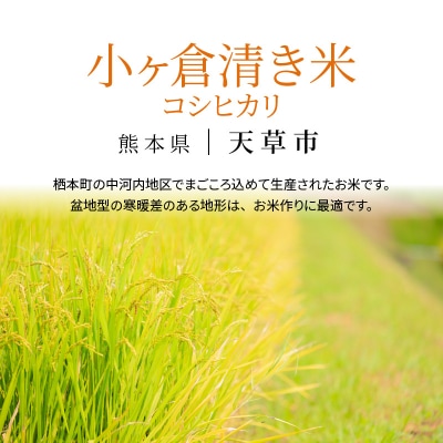 天草市栖本町産　小ヶ倉清き米(コシヒカリ)　精米 5kg_S135-001