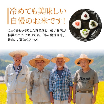 天草市栖本町産　小ヶ倉清き米(コシヒカリ)　精米 5kg_S135-001