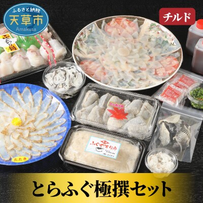 【指定日必須】とらふぐ極撰セット約5～6人前(刺し身・たたき・とらふぐちりなど)_S044-005