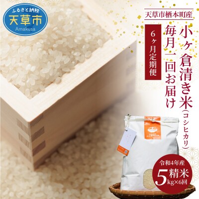 【6ヶ月定期便】天草市栖本町産　小ヶ倉清き米(コシヒカリ)　精米 5kg_S135-T02A