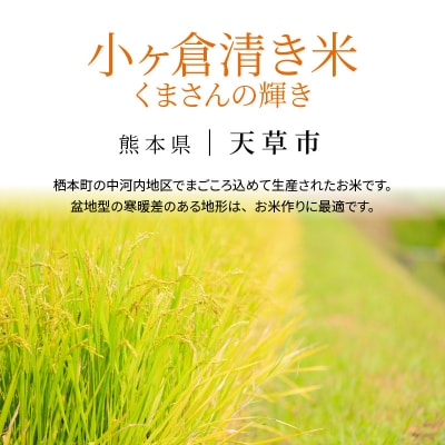天草市栖本町産　小ヶ倉清き米(くまさんの輝き)　精米 5kg_S135-003