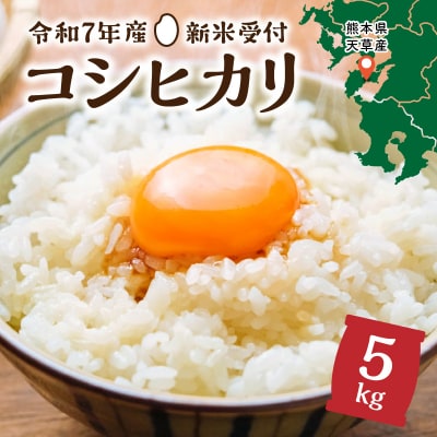 熊本県天草産 早期新米 コシヒカリ 5kg〈令和7年産 先行受付〉_S128-002A