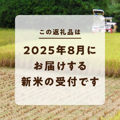 熊本県天草産 早期新米 コシヒカリ 5kg〈令和7年産 先行受付〉_S128-002A