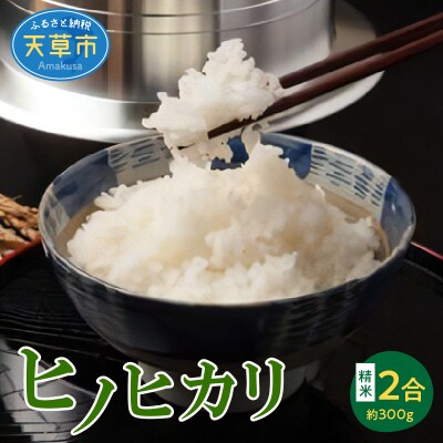 〈2022年産〉河浦町新合産　ヒノヒカリ　精米　2合(約300g)_S112-009 | ふるさと納税のお礼品