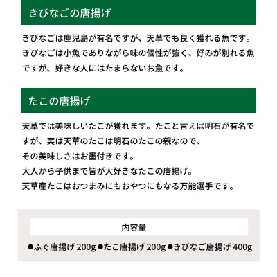 【天草産】海の幸唐揚げ三昧_S011-018A