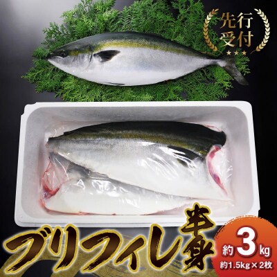 [先行受付]ブリフィレ 半身 約3kg(約1.5kg×2枚)ぶり 鰤