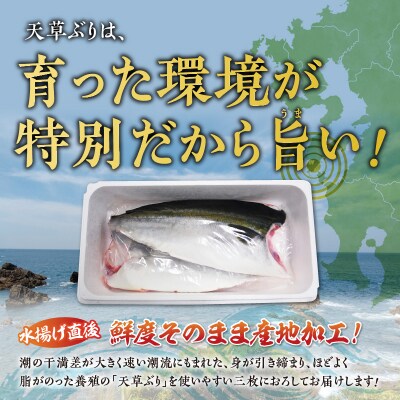 【指定日必須】ブリフィレ 半身 約3kg(約1.5kg×2枚)ぶり 鰤_S042-001A