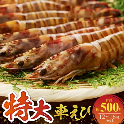 ふるさと納税 東洋町 活き〆ウチワエビ 小500gセット(6〜7尾)天然高知 
