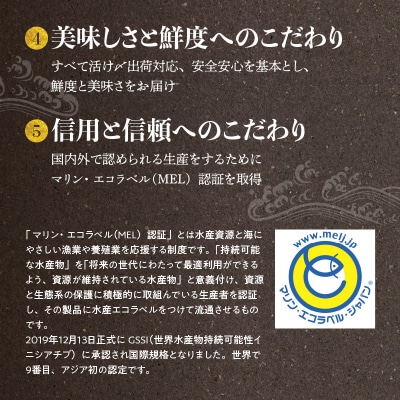 【先行受付 天草育ち】活じめ!新鮮うまかぶり　まるまる1本!(内臓処理済)約4kg_S137-003