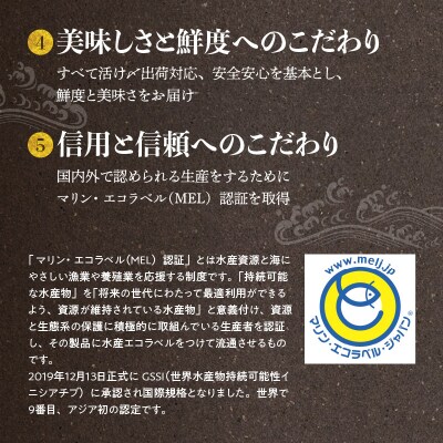 【先行受付 天草育ち】活じめ!新鮮うまかぶり　まるまる1本!(内臓処理済)約4kg_S137-003