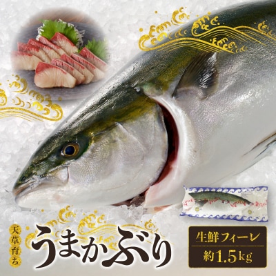 【天草育ち】活じめ!うまかぶり生鮮フィーレ 約1.5kg(真空パックでお届け)_S137-004