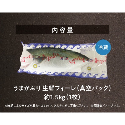 【天草育ち】活じめ!うまかぶり生鮮フィーレ 約1.5kg(真空パックでお届け)_S137-004