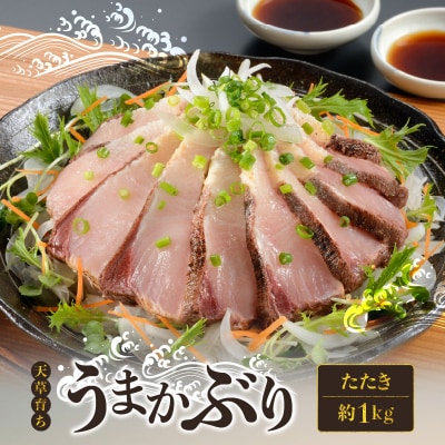 【天草育ち】活じめ!うまかぶりたたき2節　約1kg(切るだけ、手間いらず)_S137-006