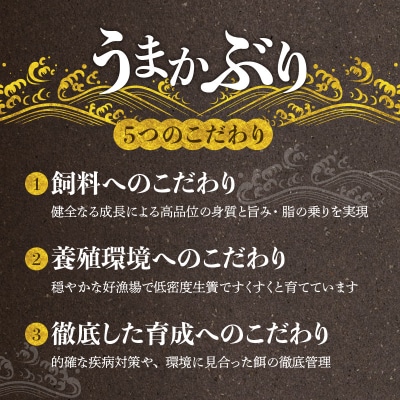 【天草育ち】活じめ!うまかぶりたたき2節　約1kg(切るだけ、手間いらず)_S137-006
