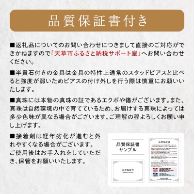 天草産9mm-9.5mmネックレス真珠ナチュラル1粒【K10WG】_S101-322-10WG