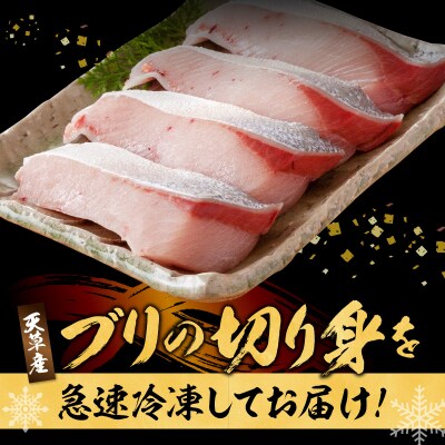 ブリ切り落とし(皮付)約900g_S010-078