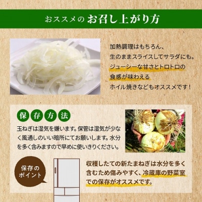 令和9年4月出荷 訳あり新たまねぎ【先行受付】_S010-077