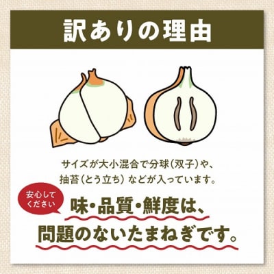 令和9年4月出荷 訳あり新たまねぎ【先行受付】_S010-077