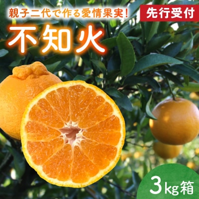 不知火 約3kg箱【先行受付】_S142-002A