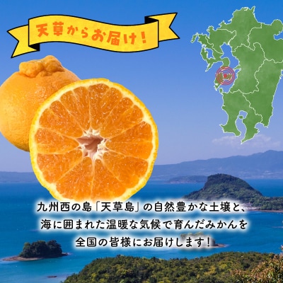 不知火 約3kg箱【先行受付】_S142-002A