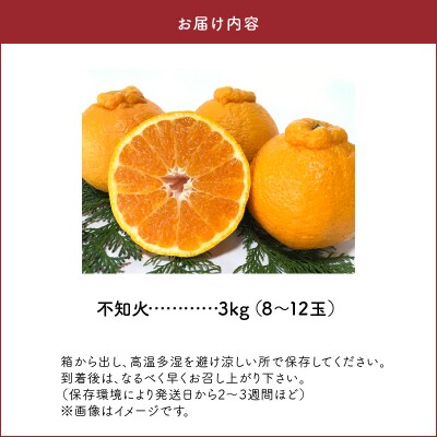不知火 約3kg箱【先行受付】_S142-002A