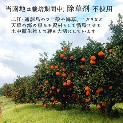あまくさどろっぷすのじゅーす_S097-005A