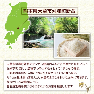 【先行受付】河浦町新合産 くまさんの輝き 精米 6kg(3kg×2)_S112-014A