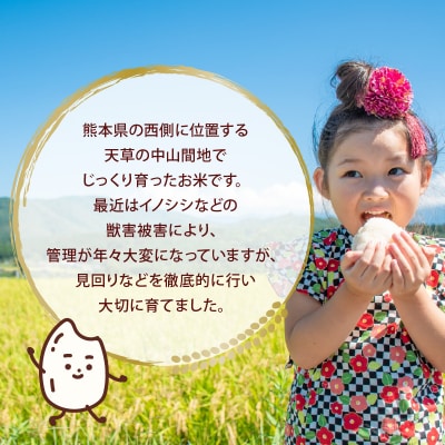 【先行受付】河浦町新合産 くまさんの輝き 精米 6kg(3kg×2)_S112-014A